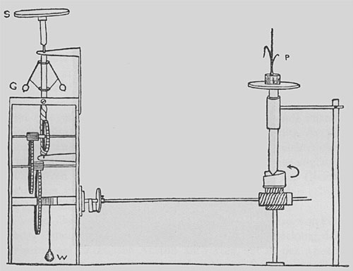 Fig. 19. Der Gleichgewichts-Crescograph. Die Wachstumsbewegung wird durch eine gleich rasche Abwärtsbewegung des die Pflanze (P) tragenden Halters kompensiert. S, Schraube zur Einstellung der Reguliervorrichtung (G); W, Gewicht zum Antrieb des Uhrwerkes.