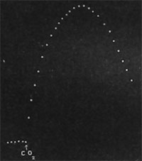 Fig. 20. Kurvenbild, die Wirkung des Kohlendioxyds auf das Wachstum zeigend. Die horizintale Linie am Anfang der Kurve zeigt ausgeglichenes Wachstum an. Die Einwirkung von Kohlendioxyd führt zu einer vorübergehenden Beschleunigung des Wachstums, wie der Anstieg der Kurve zeigt, auf die dann wieder eine Depression folgt, wie aus dem Abfall der Kurve ersichtlich. Der Abstand zweier Punkte entspricht einem Zeitintervall von 10 Sekunden.