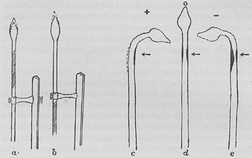 Fig. 22. Die Wirkung direkten und indirekten Reizes. (a) Ein direkt auf die wachsende Zone einwirkender Reiz bewirkt eine Verlangsamung des Wachstums oder eine Kontraktion, wie die punktierte Linie zeigt. Die gereizte Zone ist in diesem wie im folgenden Bilde schraffiert. (b) Ein indirekter (in einigem Abstand von der wachsenden Region) wirkender Reiz veranlaßt eine Wachstumsbeschleunigung und Expansion. (c) Ein auf die rechte Seite des Organs einwirkender Reiz verursacht eine Kontraktion an dieser Seite und eine Expansion an der entgegengesetzten und führt dadurch zu einer positiven Krümmung gegen die Reizquelle zu. (d) Leitung des Reizes nach der Gegenseite bewirkt Neutralisation. (e) Erregung durch intensive Reizung wird quer durch den Stengel geleitet und verwandelt so die positive Krümmung in eine negative, d. h. in eine Krümmung weg von der Reizquelle.