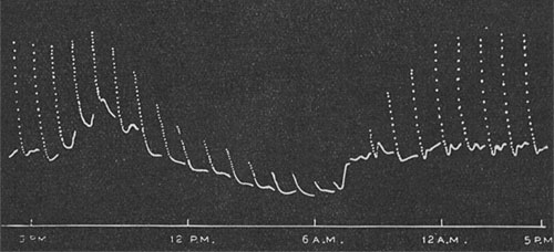 Fig. 26. Tageskurve, die die Schwankungen der Empfindlichkeit von Mimosa von 5 Uhr früh bis 5 Uhr früh des nächsten Tages zeigt.