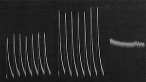 Fig. 6. Stimulierende Wirkung einer kleinen Giftdosis auf das Reaktionsvermögen von Metallen; eine größere Dosis vernichtet dieses (rechtes Bild).