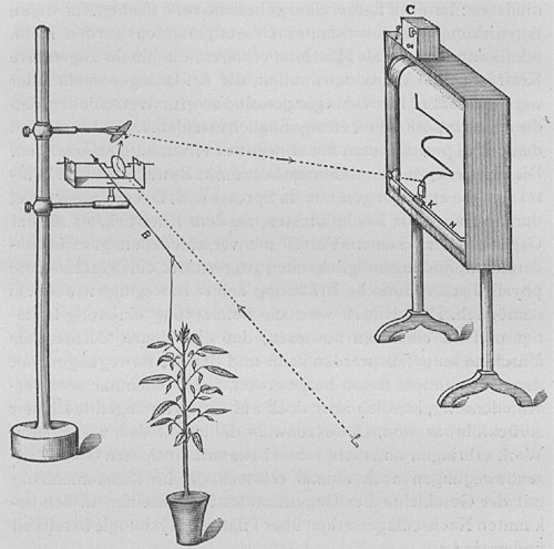 Fig. 7. Der optische Registrier-Apparat für Pulsationen (Pulse-Recorder). B, Arm des optischen Hebels, der mit dem pulsierenden Blättchen verbunden ist; L, der nach zweimaliger Reflexion von den zwei Spiegeln auf den Recorder fallende Lichtstrahl; C, das die drehbare Doppeltrommel, auf der das Registrierpapier aufgerollt ist, antreibende Uhrwerk; H, horizontale Führungsstange; K, Tintenbehälter mit dem kleinen vorstehenden Schwämmchen.