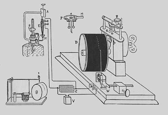 Fig. 102. Der automatische Apparat zur Registrierung der Photosynthese. S Blasenzähler mit Verschlußhahn, E elektrischer Kontaktstift zur Schließung des Kontakts mit dem Quecksilbertropfen M, A Regulierschraube, V Volta'sche Zelle, C Kondensor, D Schreibtrommel, W elektromagnetischer Schreibstift, G Regulator, gesondert bei P dargestellt, mit zwei drehbaren Hebeln H, I Schreibtrommel mit Tintenstift. Die elektrische Glocke ist nicht gezeichnet.