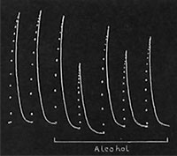 Fig. 20. Wirkung von Alkohol.