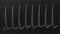 Fig. 29. Kurve für die Zeit vom Mittag bis 3 Uhr p.m. die gleichförmige, maximale Erregbarkeit zeigend.