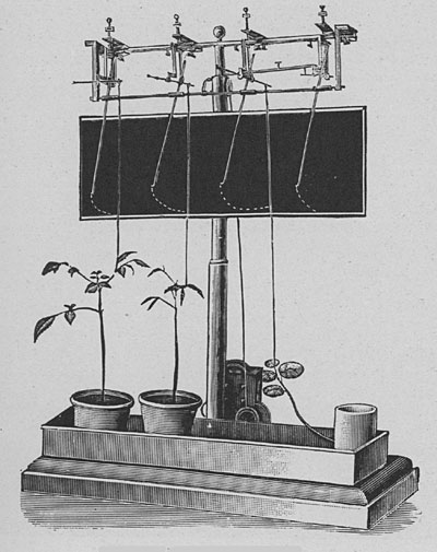 Fig. 34. Der Blatt-Registrierapparat.