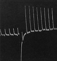 Fig. 37. Verstärkung der elektrischen Reaktion der Metalle durch stimulierende Stoffe.