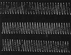 Fig. 41. Zusammenhängende Aufzeichnung der Pulsationsbewegung der Desmodium-blättchen während vier Stunden.