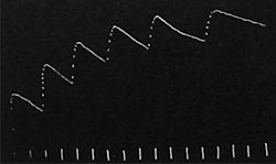 Fig. 45. Mehrfache Reaktion von Averrhoa auf einen einzigen starken elektrischen Reiz.