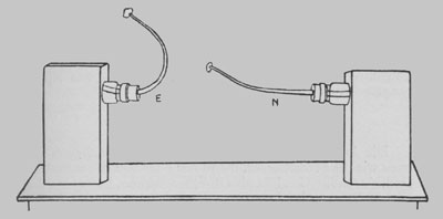 Fig. 58. Wirkung des Äthers auf die geotropische Krümmung.