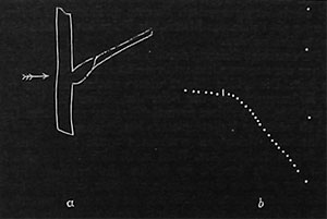 Fig. 63. Die Wirkung einseitiger, indirekter Reizung auf den Stengel von Mimosa. a) Schematische Darstellung des Versuchs. b) Registrierkurve; sie zeigt die anfängliche Aufrichtungsbewegung infolge der indirekten Reizung und die darauffolgende Senkung, die durch Zuleitung der Erregung quer durch den Stengel nach andauernder Reizung bewirkt wird.