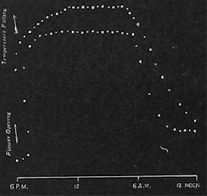 Fig. 65. Tägliche Bewegungskurve der Corollblätter der Seerose.