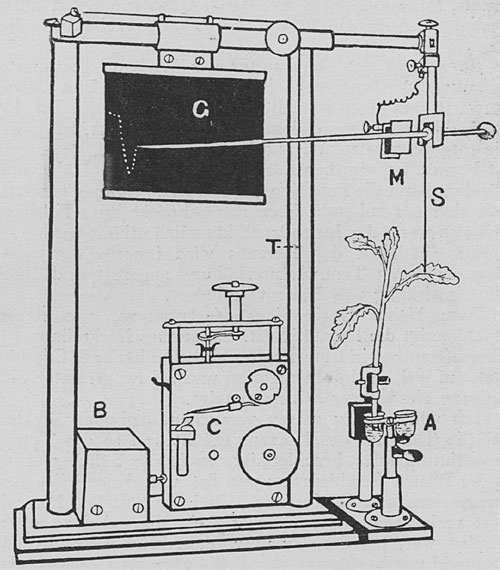 Fig. 71. Der elektrische Phytograph.