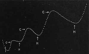 Fig. 73. Der Effekt abwechselnder Einwirkung von Kälte und Wärme; in der Kälte (C) Hemmung des Saftsteigens und Senkung der Kurve, in der Wärme (H) Beschleunigung des Saftsteigens und Anstieg der Kurve.