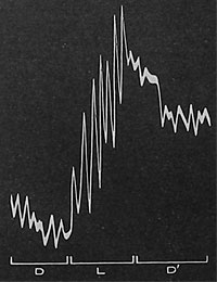 Fig. 79. Die Wirkung des Lichtreizes; sie besteht in der Beschleunigung der elektrischen Zellpulsation eines subtonischen Objekts. D schwache Pulsation im Dunkeln; L verstärkte Pulsation bei Belichtung, D'Depression bei erneuter Verdunkelung.