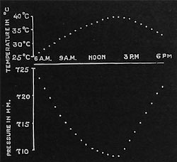 Fig. 82. Tageskurve der Druckschwankungen beim Regenbaum (Pithecolobium). Die obere Kurve zeigt die Veränderung der Temperatur, die untere die des Druckes. Man beachte, daß der Druck beim Temperaturmaximum um 2 Uhr p. m. sein Minimum erreicht.