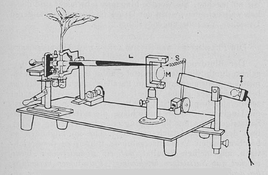 Fig. 88. Der vollständige optische Sphygmograph.